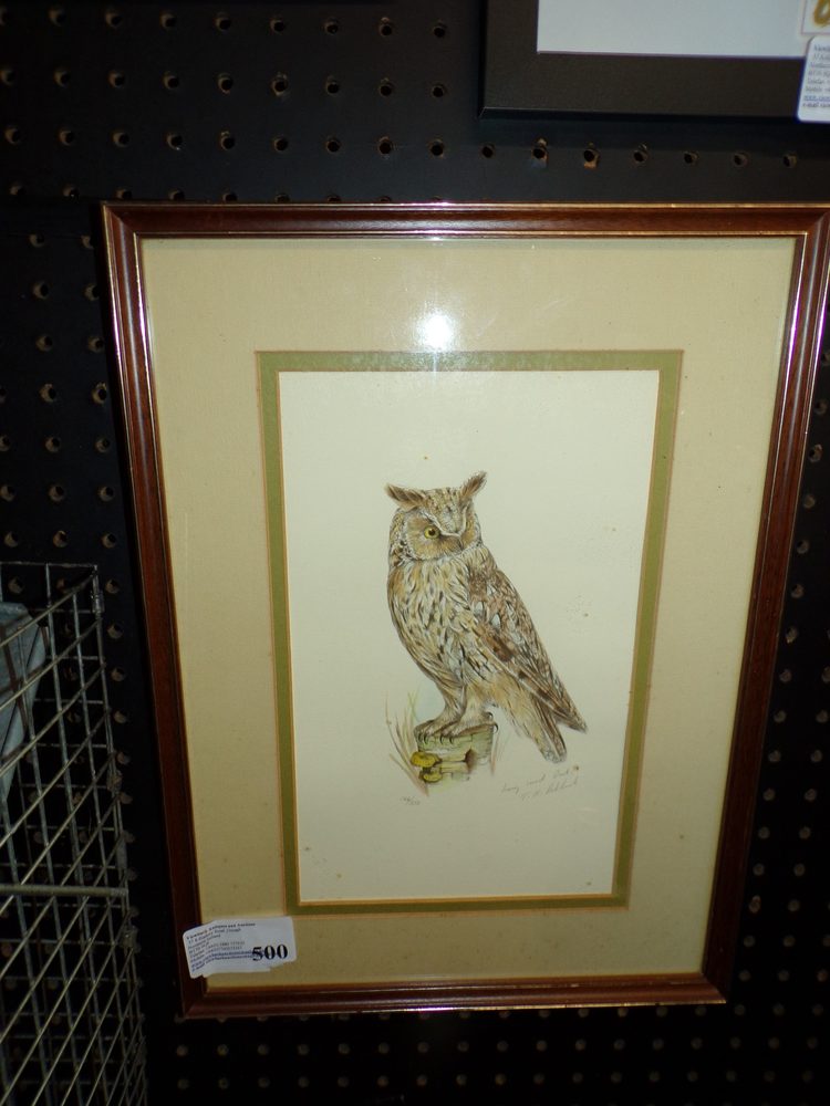 Signed watercolour study of a long-eared owl